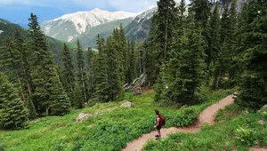 Judge blocks 'Free Land Holders' from fencing off national forest