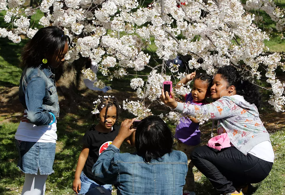 The “Beauty” In Life-Today’s Black Pearls For Parents