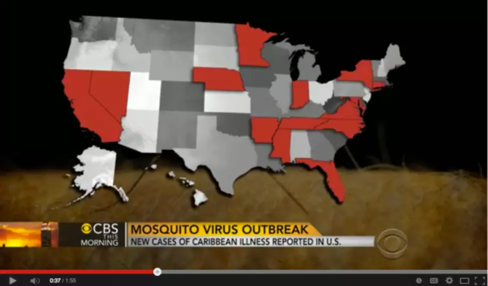 New Mosquito Virus Hits U.S.!!!!! [VIDEO]