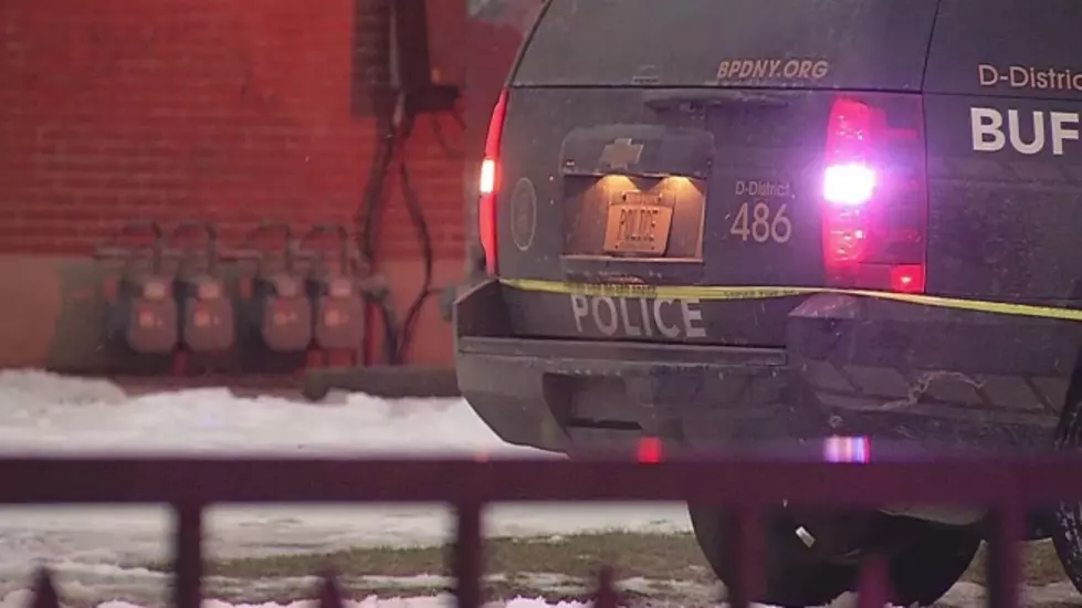 Buffalo Police Raid Brings in Guns, Cash and More