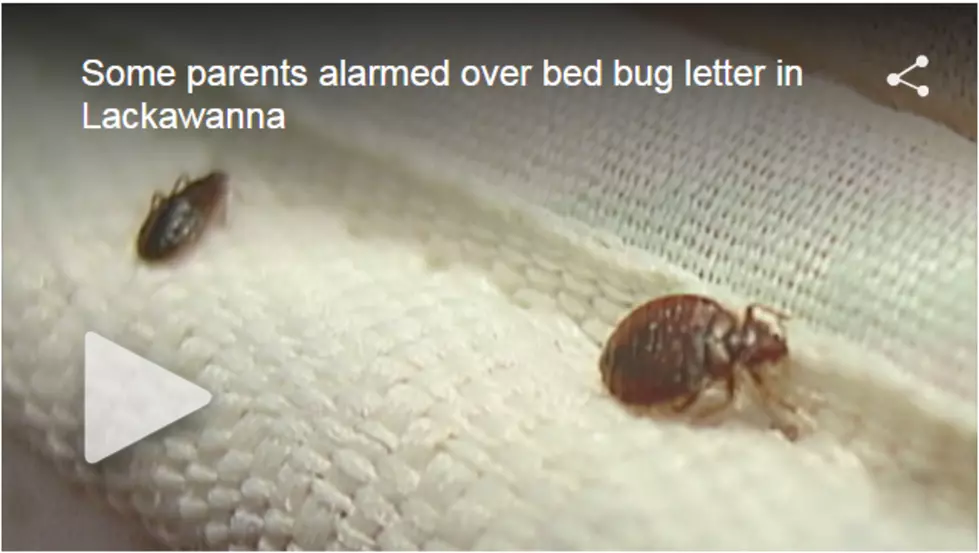 Bed Bugs in Lackawanna School
