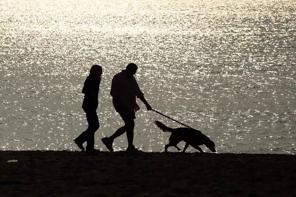 Buffalo Could See Temperatures in the 50s this Week