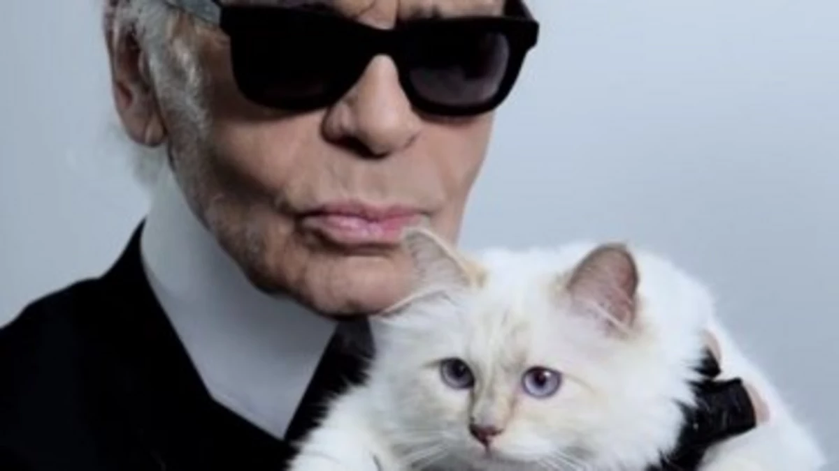 When You Have Just Too Much Money: Karl Lagerfeld’s Cat Reportedly Set ...