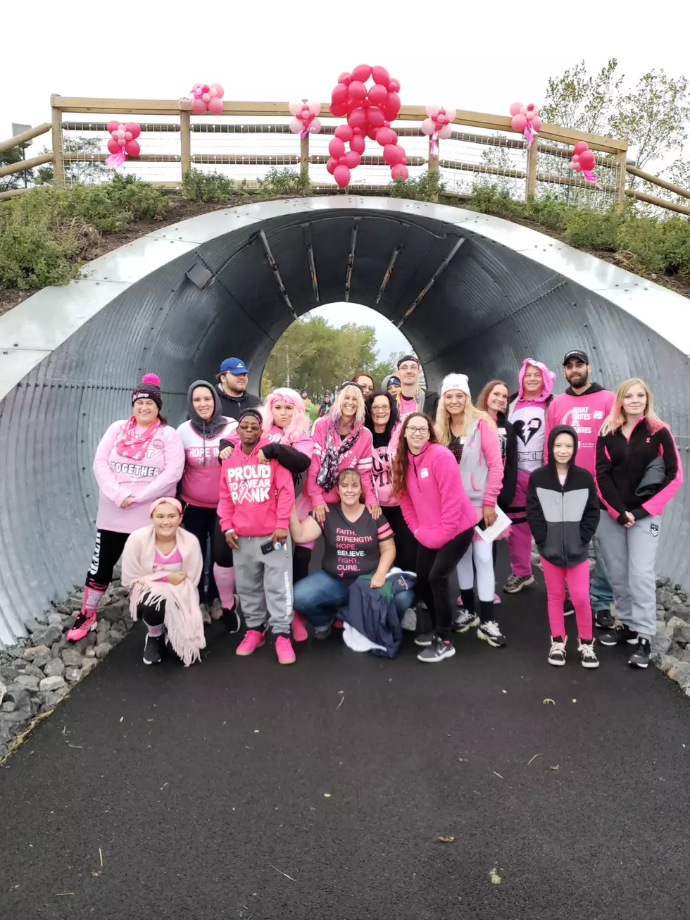 Making Strides Against Breast Cancer Walk Raised $450,000