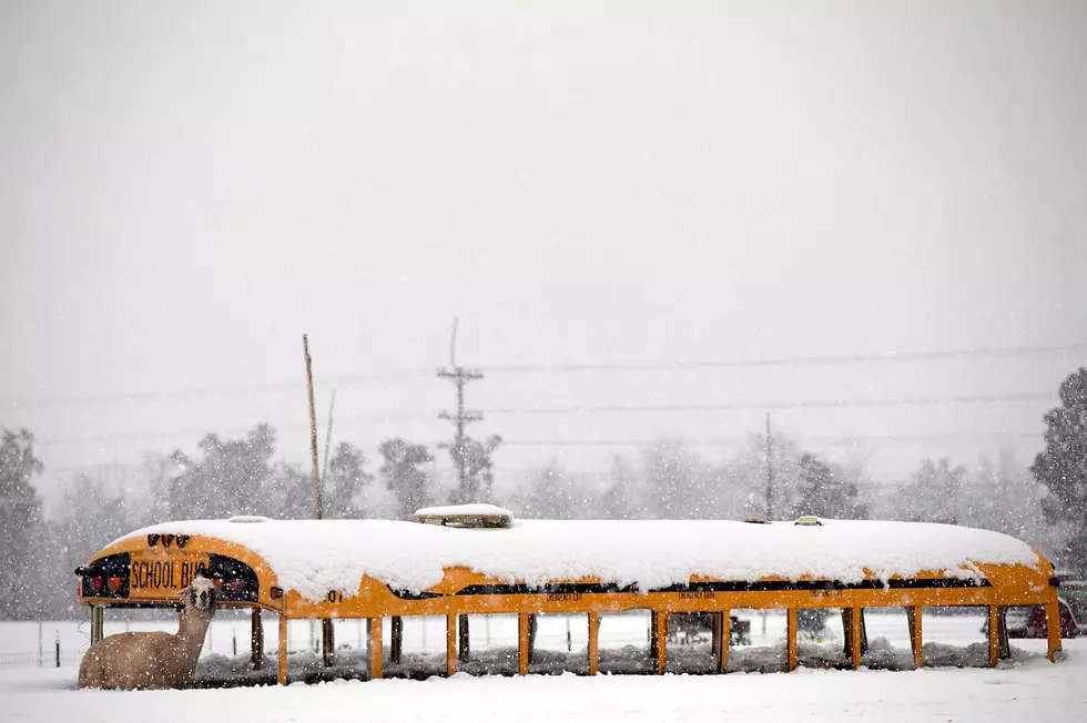 Buffalo Schools Are Officially Closed on Friday, &#038; More Closings