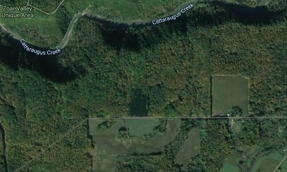 16-Year-Old Girl Falls to Her Death at Zoar Valley in WNY