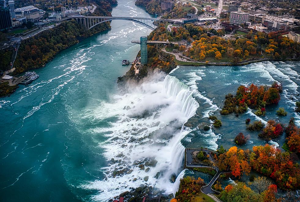 Most Scenic Places To Propose In Buffalo