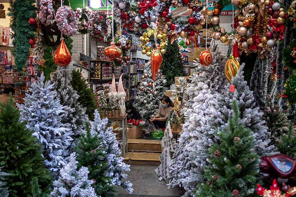 If You See This Brown Thing In Your Christmas Tree, Trash It Quickly