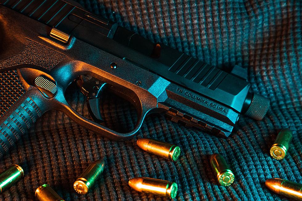 Violent Gun Crimes Are The Worst In These 11 New York Counties