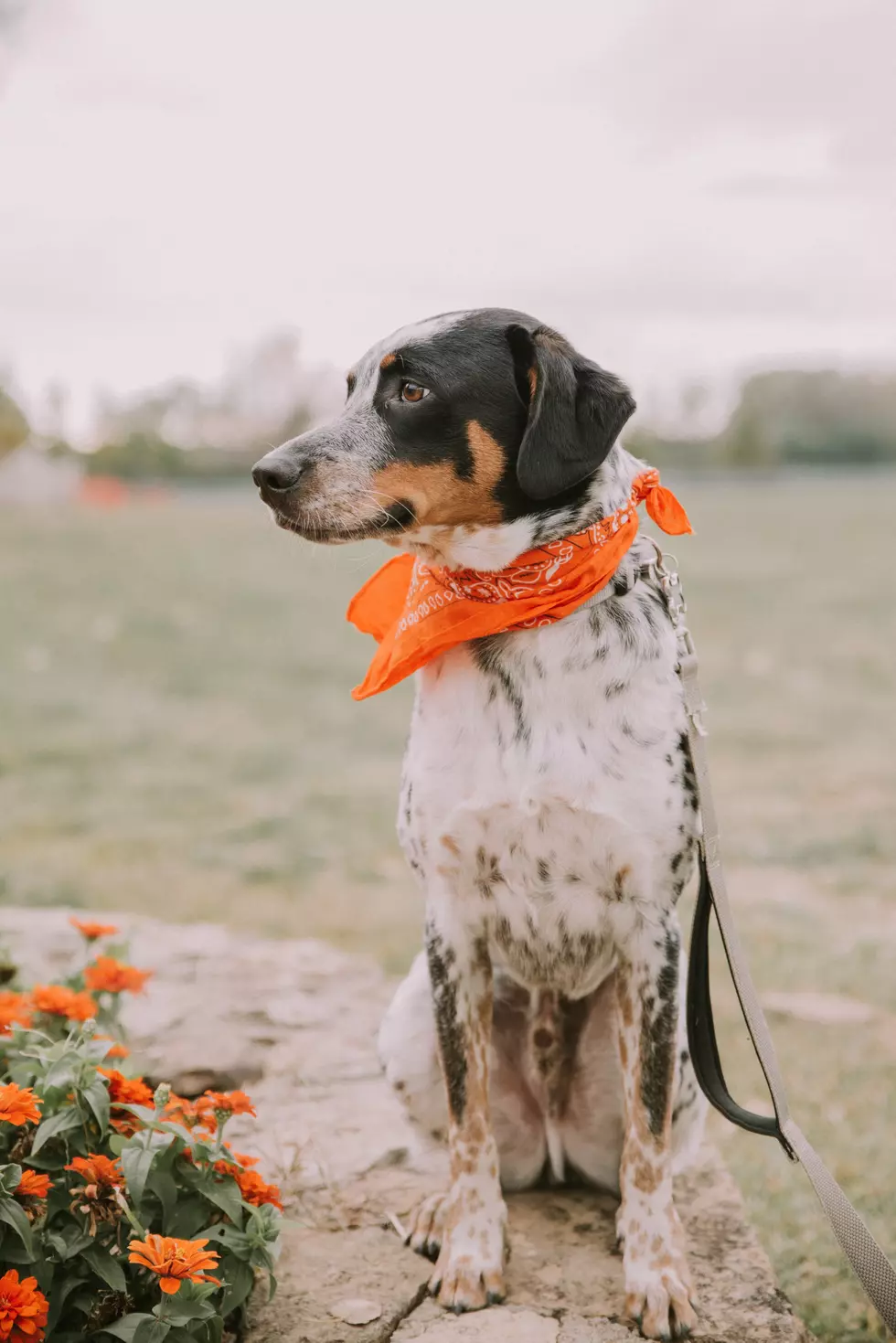 Photo by Toni Tan on Unsplash