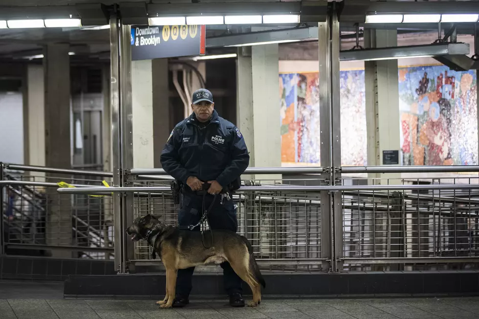 Terror Suspect Explodes Bomb At NY's Port Authority Bus Terminal