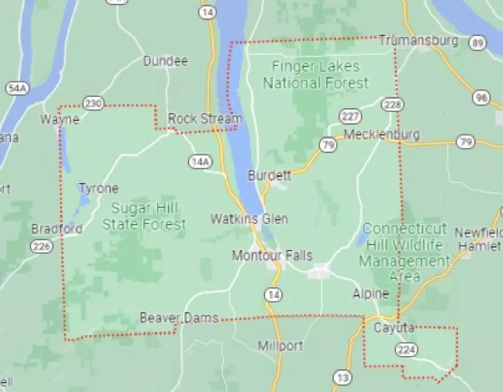 2. Schuyler County
