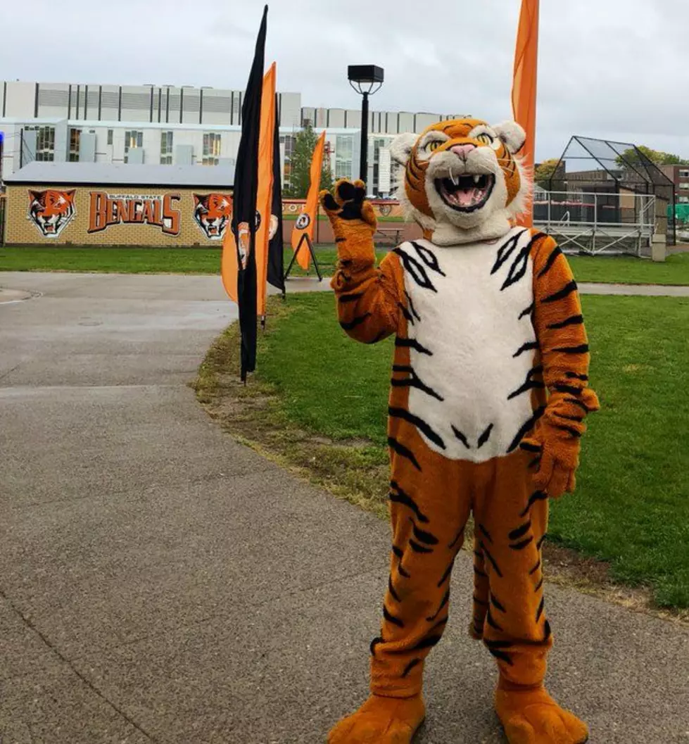 Benji the Bengal - Buffalo State College Mascot