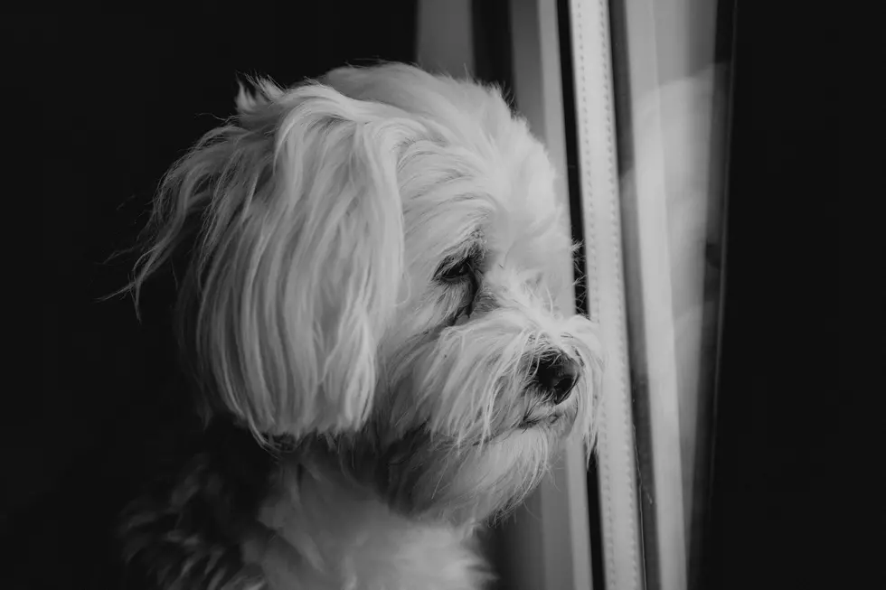 Photo by Bacila Vlad on Unsplash