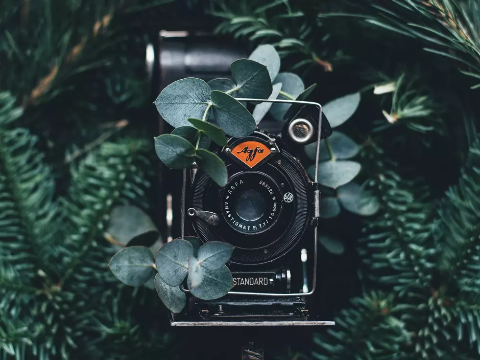 Photo by Annie Spratt on Unsplash