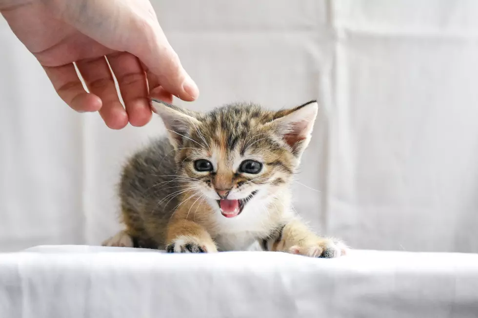 Photo by Artem Makarov on Unsplash