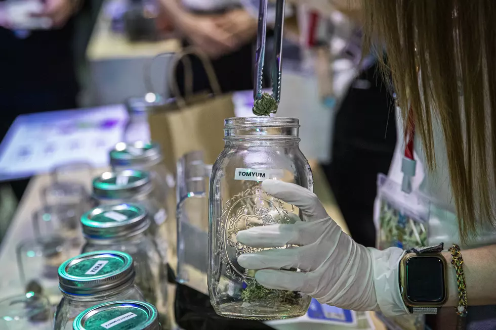 Wanna Work With Weed? New York State Holding First Cannabis Career Fair