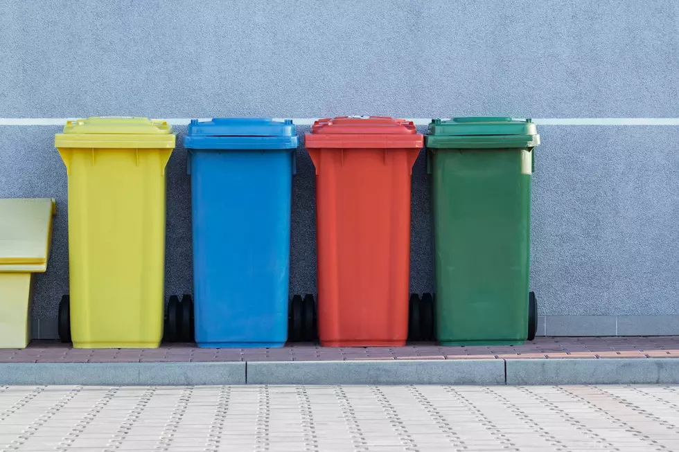 Bulk Trash Pick Up Is Underway For Buffalo's Masten District This