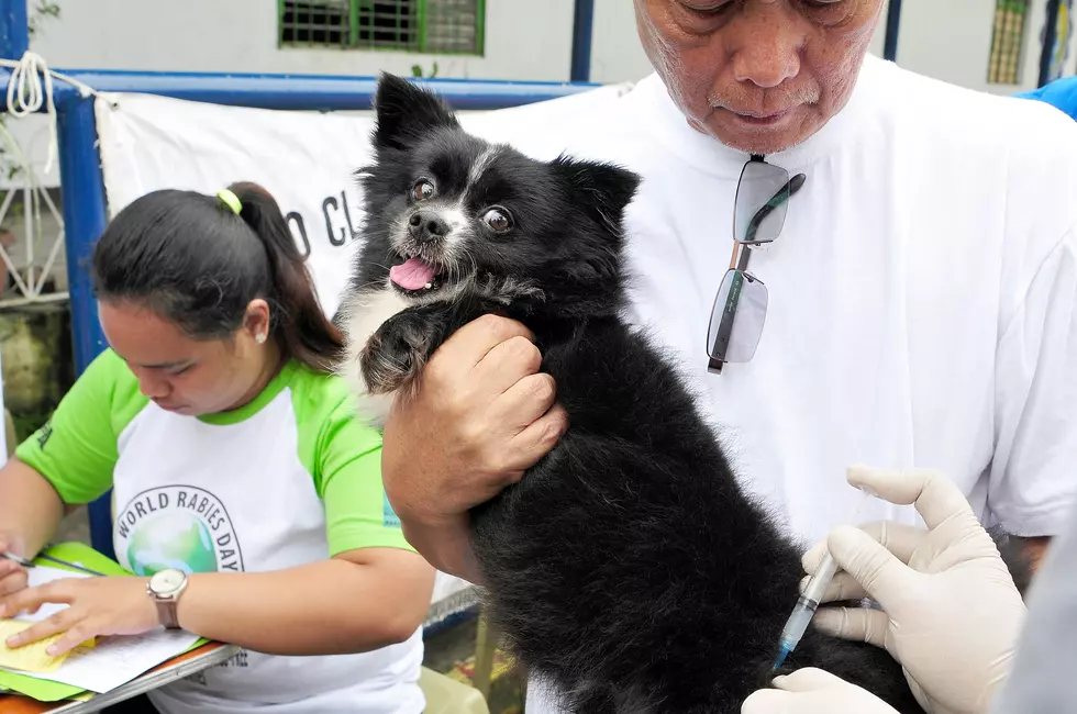 Bizarre Dog Kidnapping Story, Woman Finally Sentenced in Lancaster