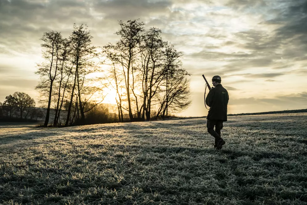 If You&#8217;re Hunting For The First Time In New York State You&#8217;ll Need This