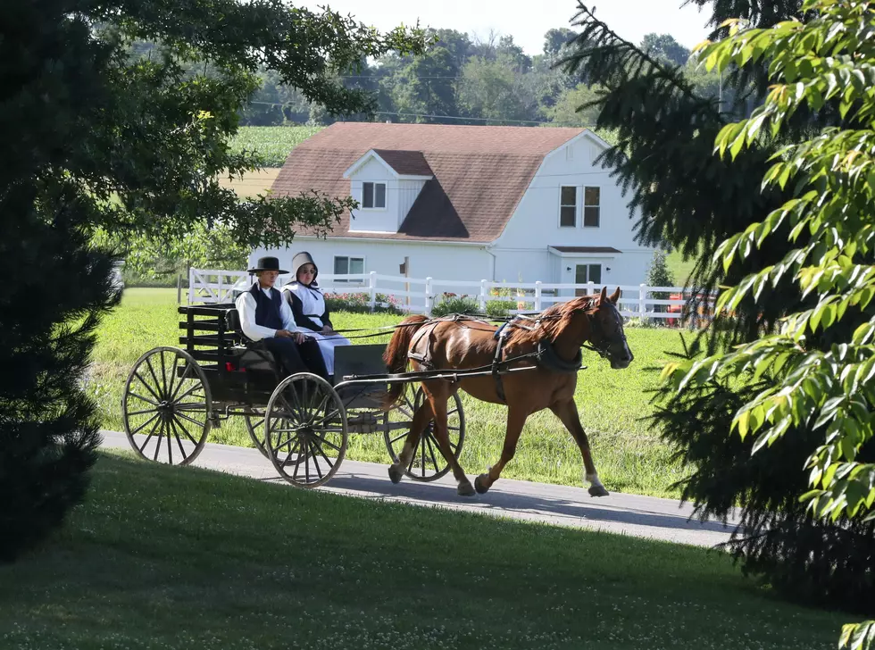 5 Injured After Chautauqua County Sheriff’s Car Runs Into Amish Buggy