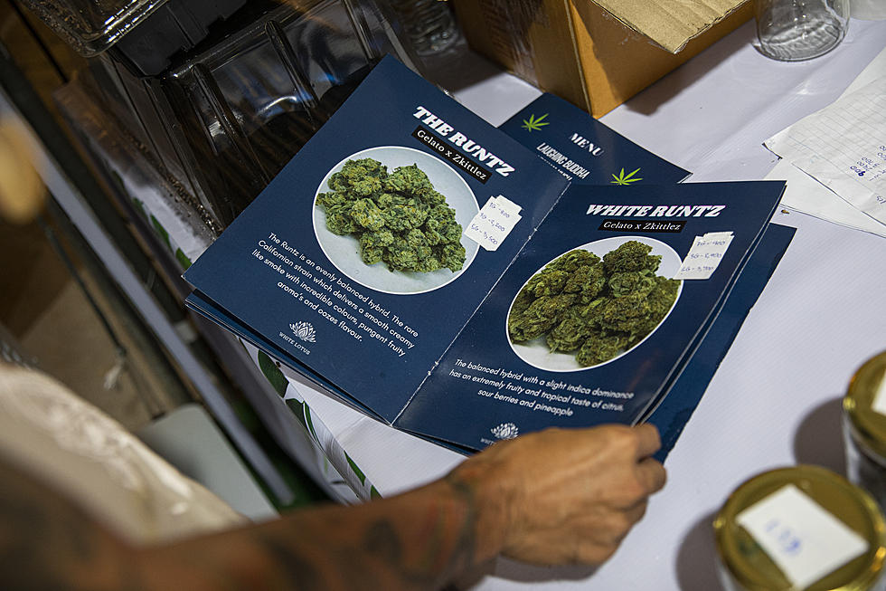 4 New Marijuana Dispensaries Expected To Open In WNY