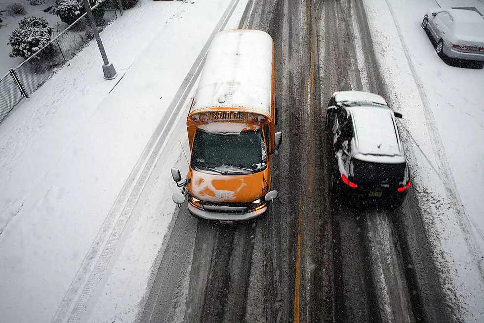 Warning: Power Outages, Tree Damage And Hazardous Travel In Buffalo