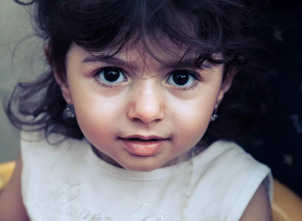 Photo by Zahra Amiri on Unsplash