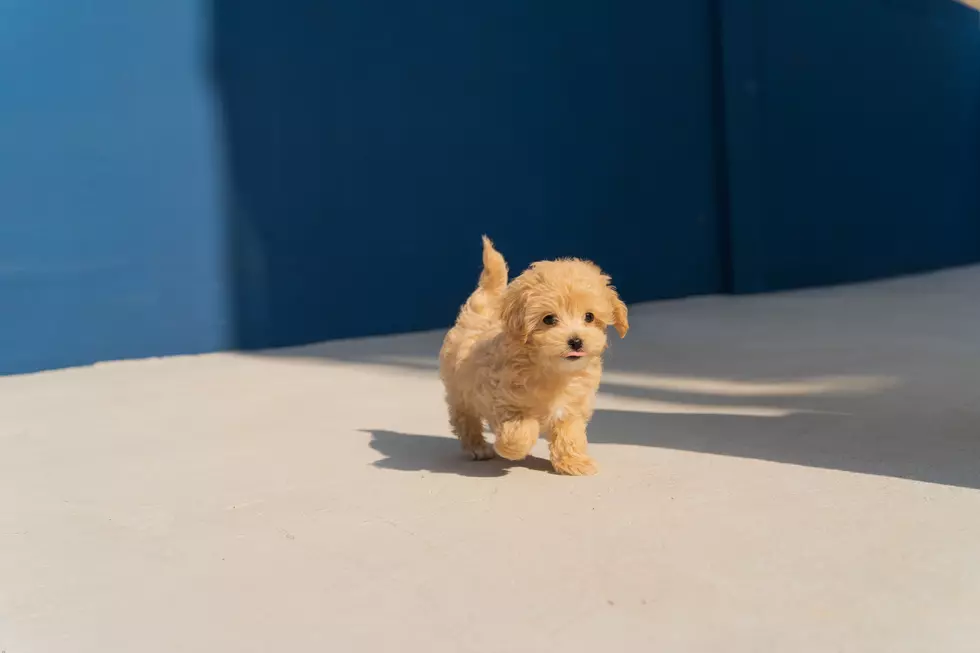 Photo by sq lim on Unsplash