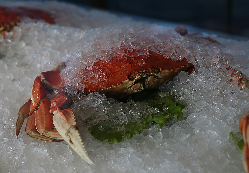 Cancelled: Could Crabs Be Removed From Menus In NY?