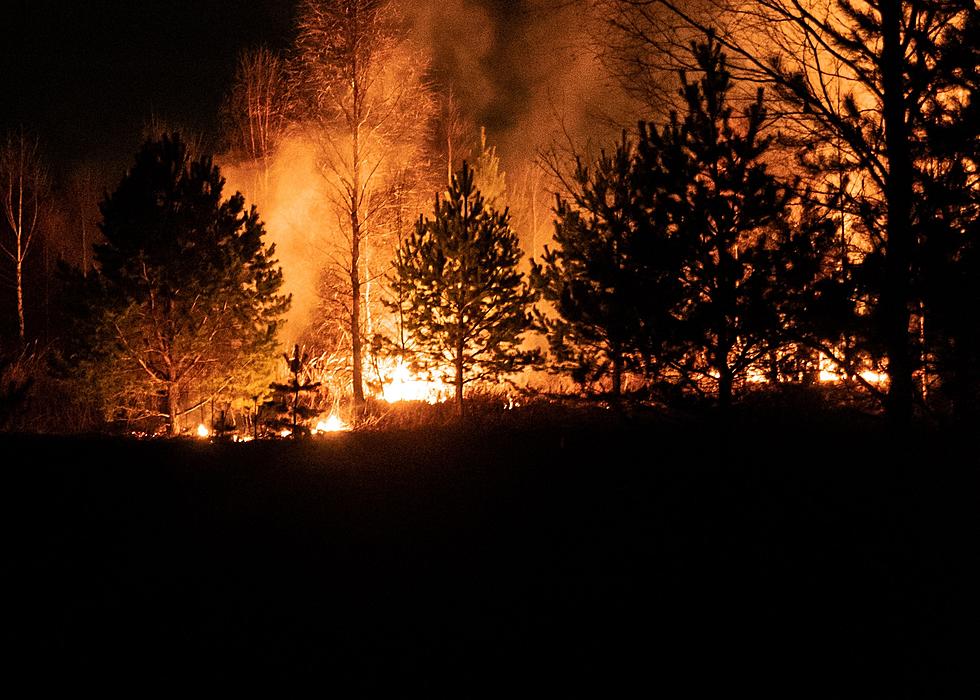 More Than Half Of New York State Has A High Risk Of Wildfires