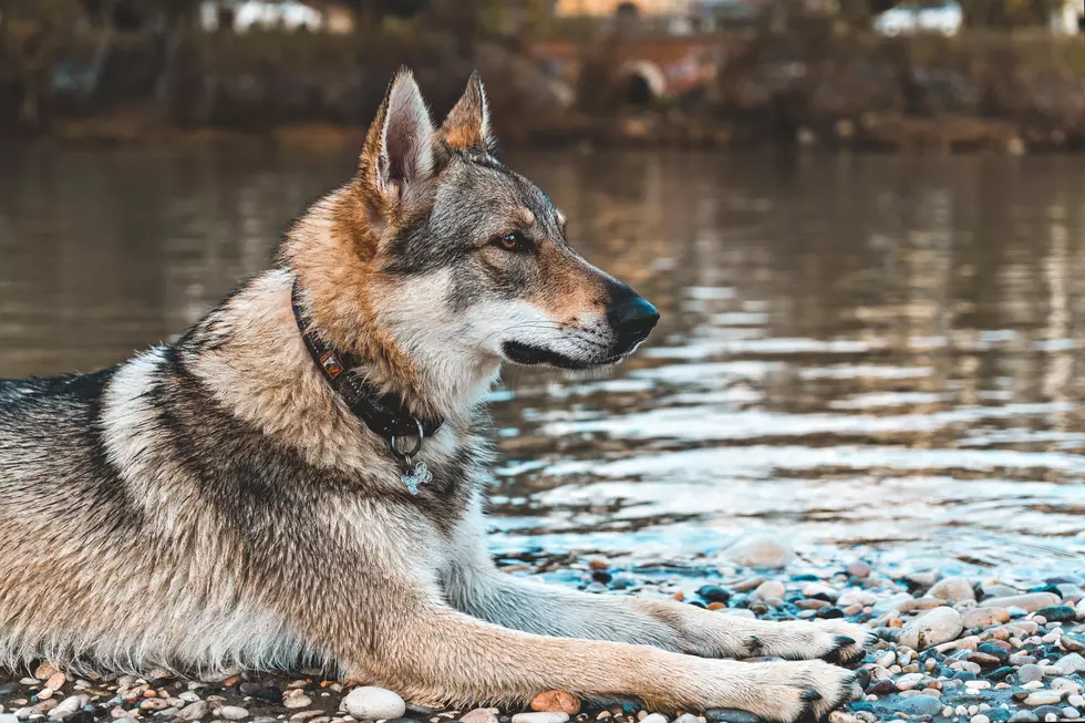 Photo by Francesco Bazzani on Unsplash
