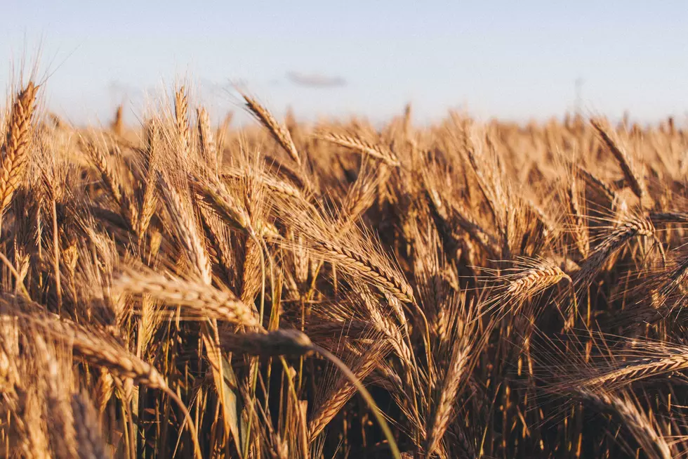 Photo by Tomasz Filipek on Unsplash