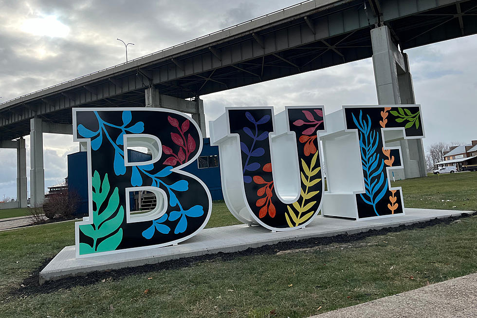 New Selfie Worthy Sculpture Now On Display In Western New York