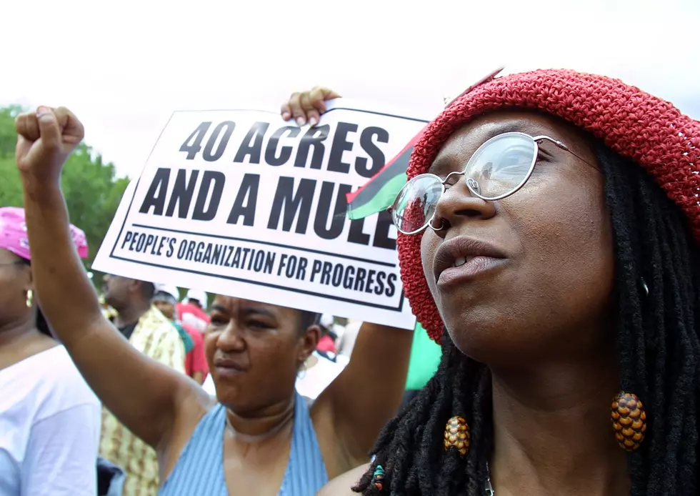 Louis Farrakhan Speaks at Slave Reparations Rally