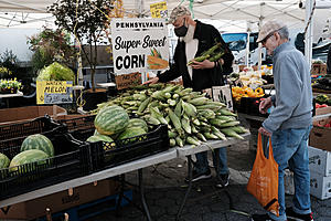 Millions Of New Yorkers Could See SNAP Benefits Quadrupled