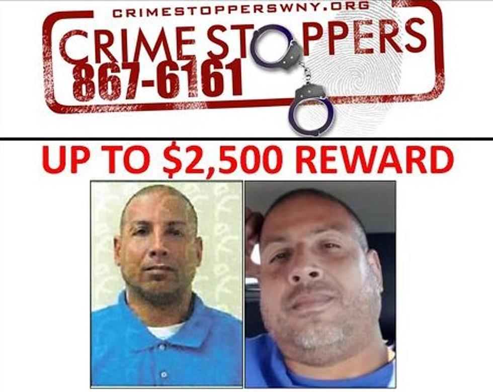Crime Stoppers WNY Is Offering Rewards In These 10 Cases
