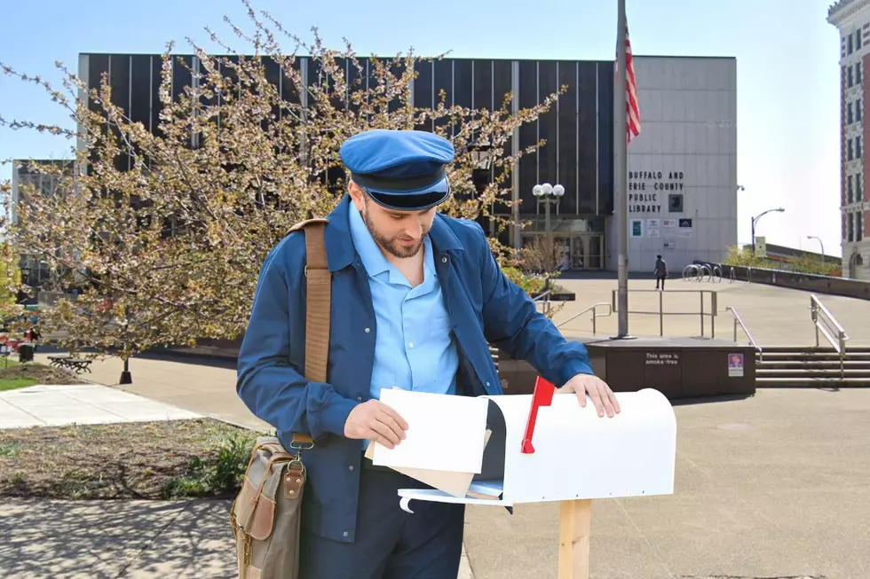 New Way To Access Library Services Available In Western New York