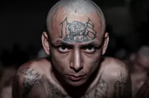 3 Most Popular Prison Gangs In New York