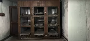 Look Inside Creepy New York Mental Hospital Abandoned Decades...