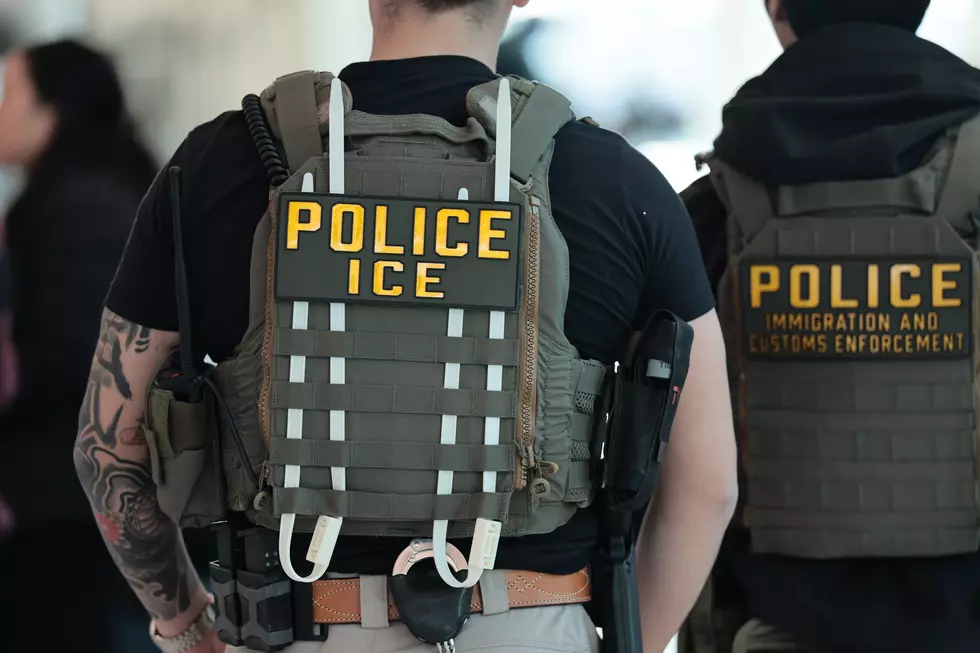 ICE Agents In The Empire State May Soon Have A Shocking New Tool