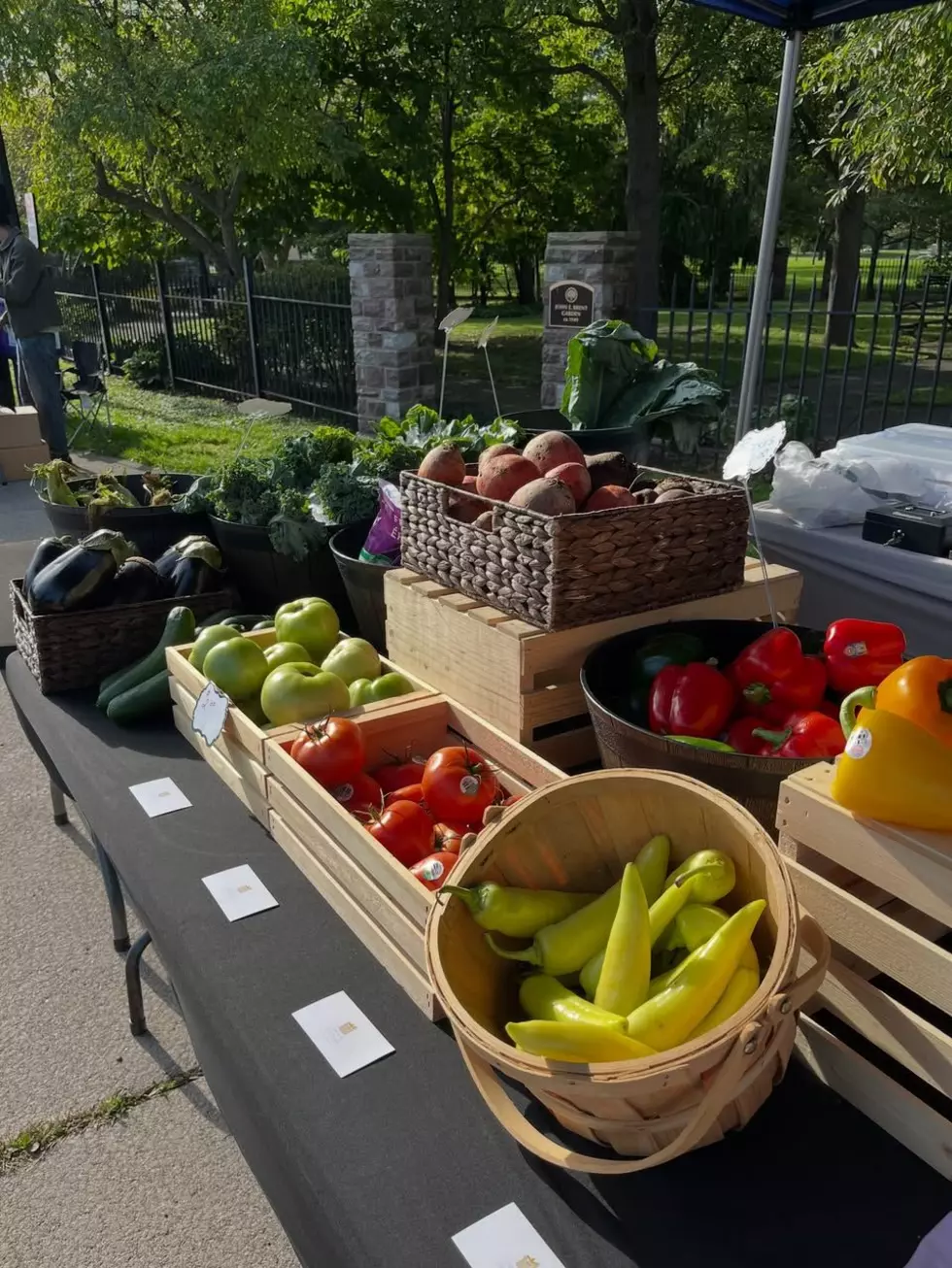 TOWN RUNDOWN: Rooted in the Park Is Back at MLK Park!
