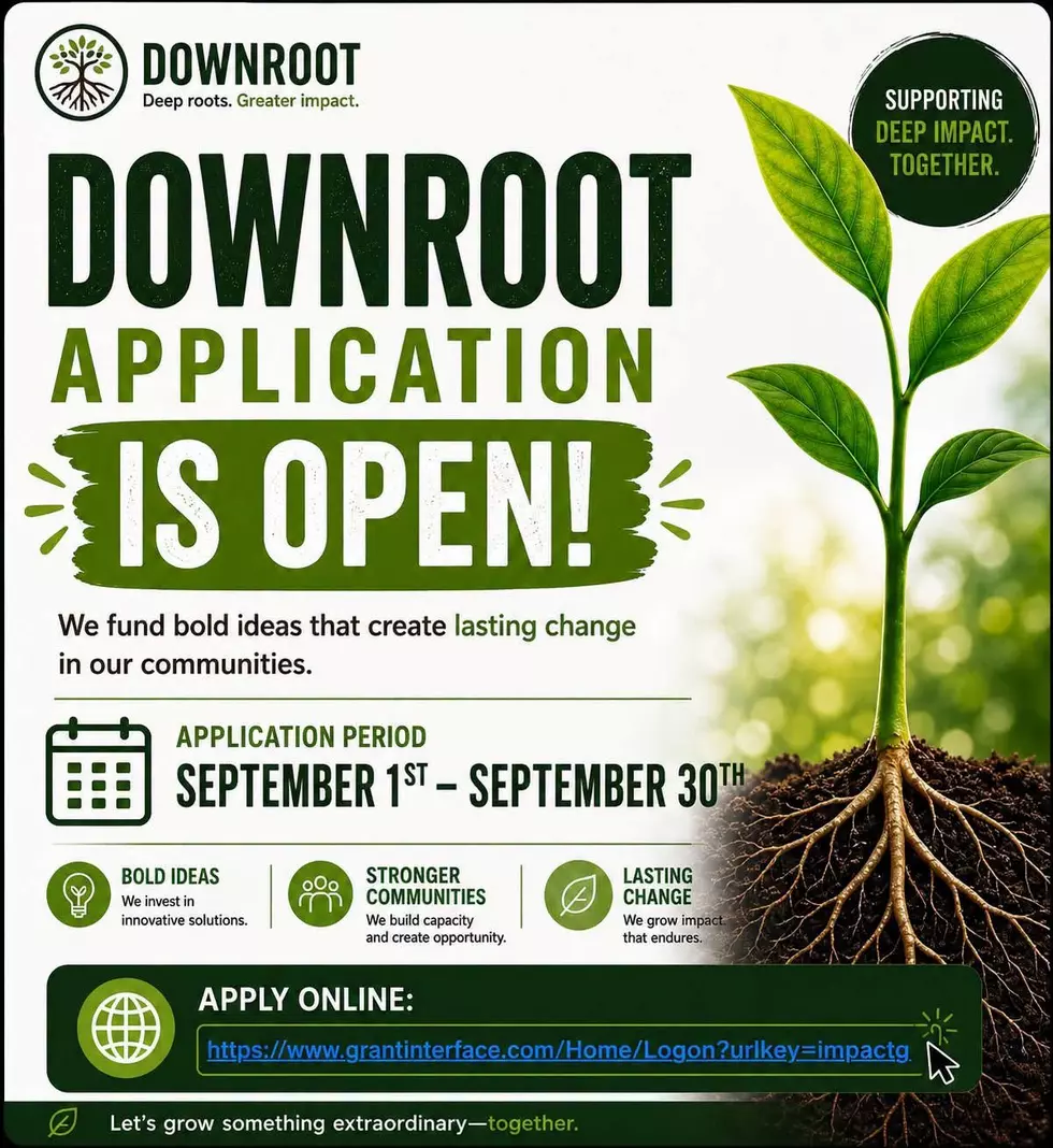 DownRoot Fund