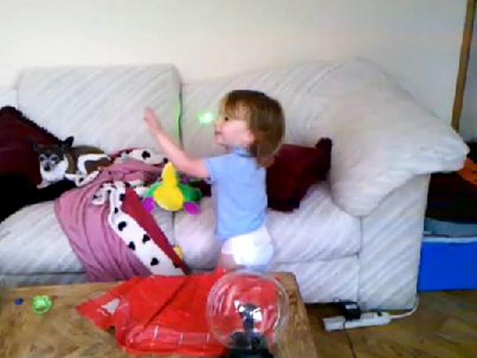 Giggling 2-Year-Old Girl Chases Laser Pointer [VIDEO]