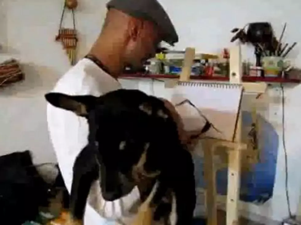 Man Uses Dog’s Tail as Paint Brush to Paint Picture [VIDEO]