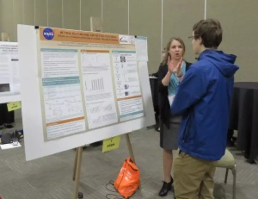 UM Honors College Students Win STEM Research Awards
