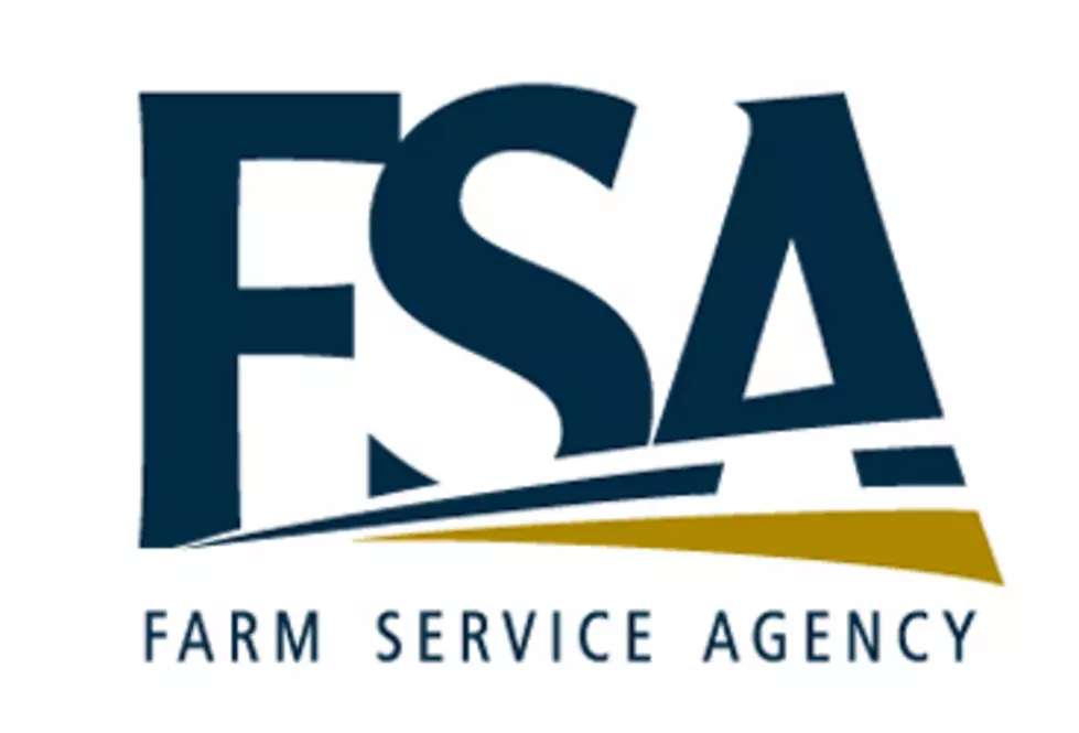 FSA: Submit Your Common Acreage Information Just Once