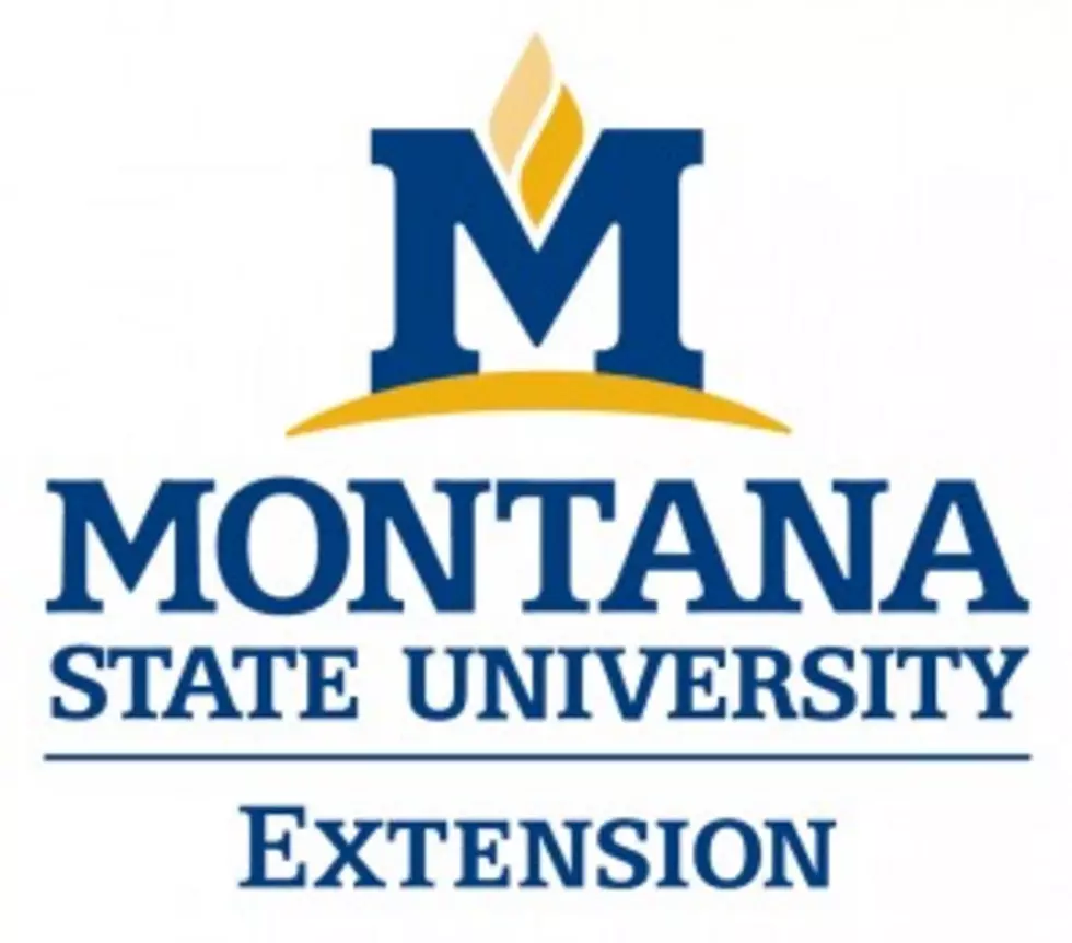 MSU Extension Pulse Production Workshop February 15 in Conrad and Fort Benton