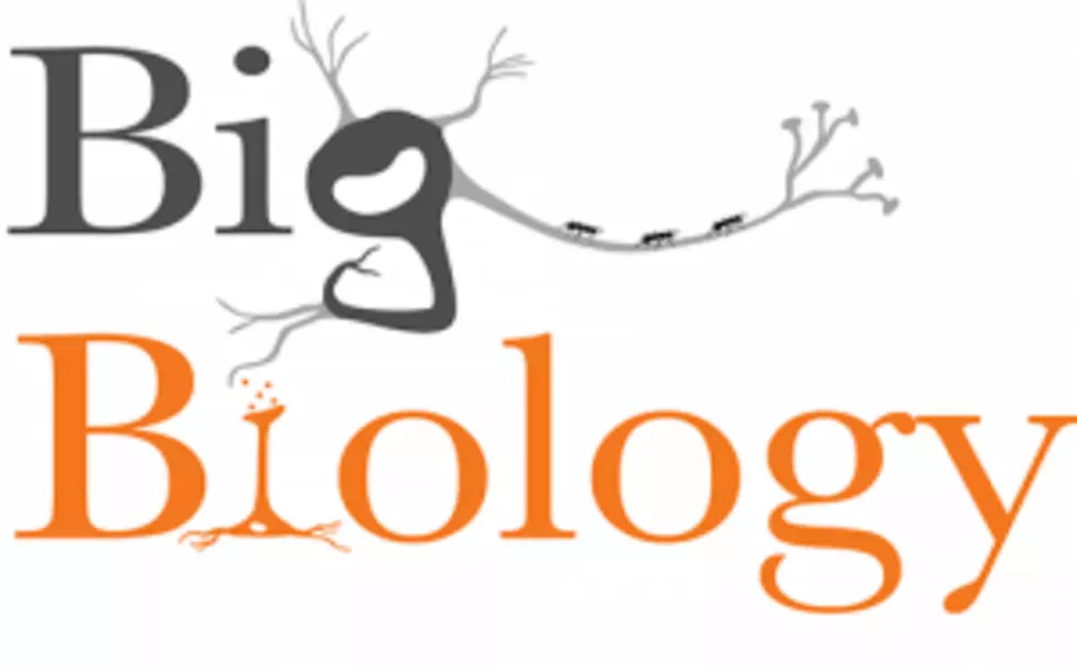 UM Biologist Co-hosts New Podcast on ‘Big Biology’