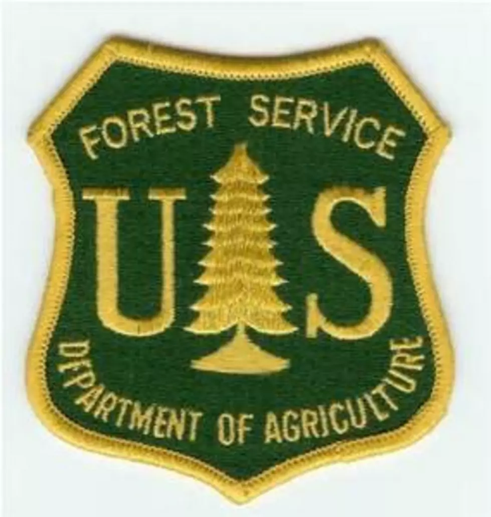 USFS Releases of the Final EIS and Draft Management Plans for Local Forests